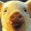Barnyard Shenanigans(old)