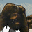 Mankind's Asskicking