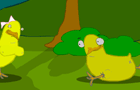 Bird Watching 2