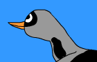 The Pigeon Ambush