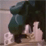 Attack of the Dinosaurs!