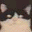 MEOWMEOW, a tribute