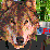 Stupid Squirrel:Love stor
