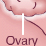 Vagina Simulator v 1.0