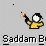 Saddam & Magic Fruit