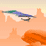Canyon Glider