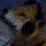 SH2: Dog Ending