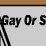 The Gay Or Straight Test