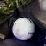 Wilson