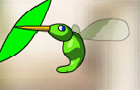 kolibri