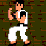 Kung-fu 8-bit fight