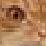 Shrutglib jurblok