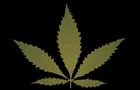 Lets Go Smoke Some Pot