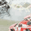 PMS: Dale Earnhardt