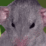 Meet the new mouse...