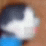 Teh Pron