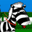 Zebra Racing