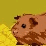 The Classroom Guinea Pig