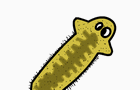 Worm Education