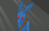 Psycho Bunny
