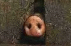 War Pigs