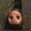 War Pigs