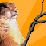 Stick Wielding Groundhog