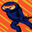 The Suburban Ninja
