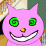 Crazy Random Purple Cat