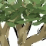 Tree Tutorial