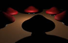 [Early Work] 3d Montage