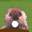 TigerGolf