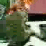 Dumbass Television (1/2)