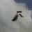 Dumbass Television (2/2)