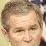 The GeorgeBush Collection