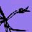 Random Patches of Life