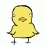 Five Little Ducks