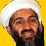 Binladen bash