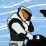 Halo: The Escape