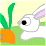 Don't Touch My Carrot