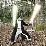 Jedi, two sabers test