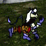 Draconomicon (english)