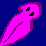 Platyhelminthes