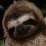 Sloth Music Video