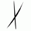 The "X"