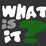 What is it? Quiz