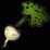 Turnip Odyssey (vol.1)