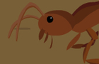 the unlucky ant