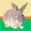 SonBunBun PSP