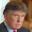 A Donald Trump Cartoon